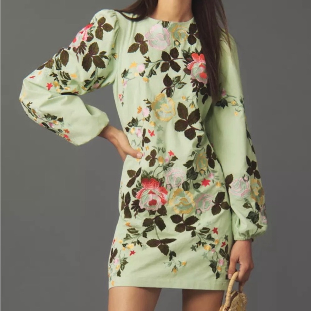 Mint Green Floral Embroidered Long-Sleeve Mini Dress